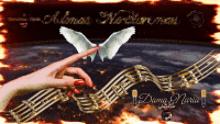 prog. Almas Nocturnas